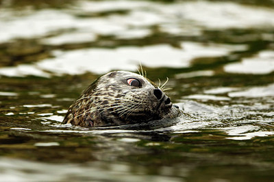 BUITEN BEELD Foto: 231318