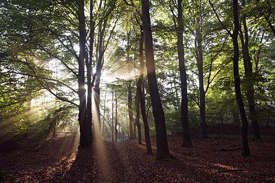BUITEN BEELD Foto: 231366