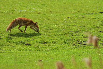 BUITEN BEELD Foto: 231375