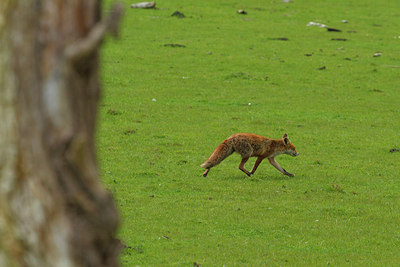 BUITEN BEELD Foto: 231376