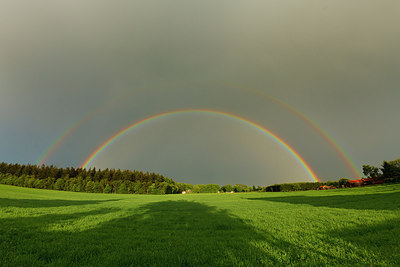 BUITEN BEELD Foto: 231388