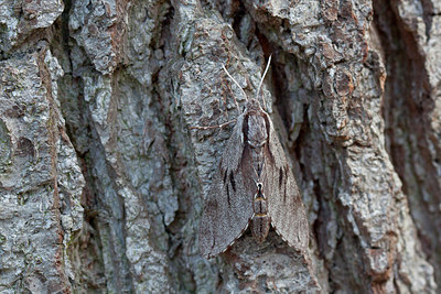 BUITEN BEELD Foto: 231424