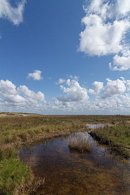 BUITEN BEELD Foto: 231473