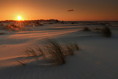 BUITEN BEELD Foto: 231475