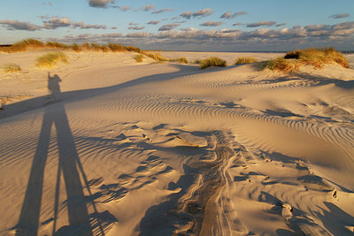 BUITEN BEELD Foto: 231480