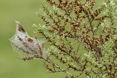 BUITEN BEELD Foto: 231485