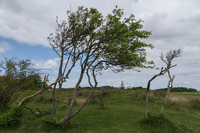 BUITEN BEELD Foto: 231511