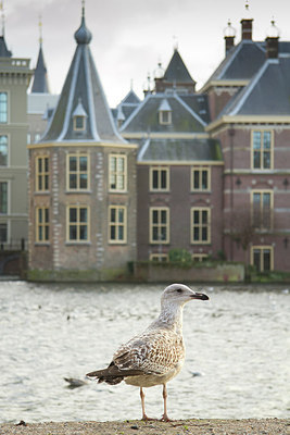 BUITEN BEELD Foto: 231560