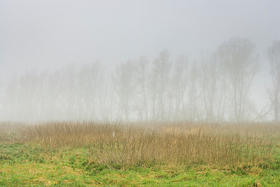 BUITEN BEELD Foto: 231584