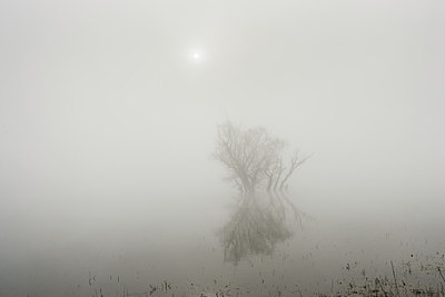 BUITEN BEELD Foto: 231591