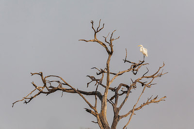 BUITEN BEELD Foto: 231650