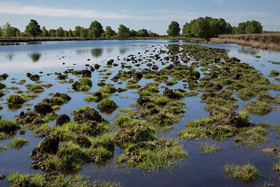 BUITEN BEELD Foto: 231665