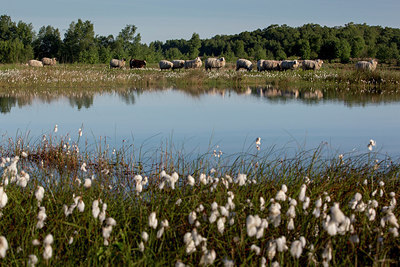 BUITEN BEELD Foto: 231671