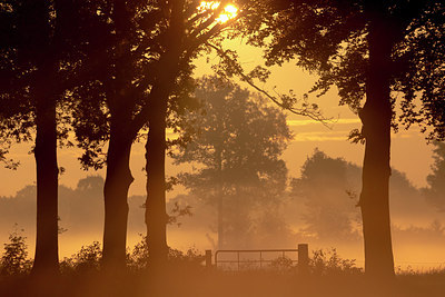 BUITEN BEELD Foto: 231691
