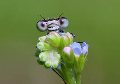 BUITEN BEELD Foto: 231706