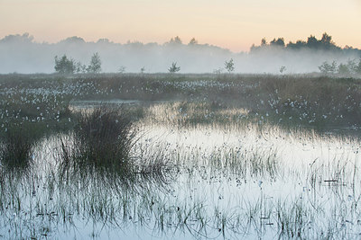 BUITEN BEELD Foto: 231713