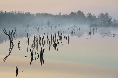 BUITEN BEELD Foto: 231715