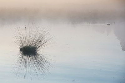 BUITEN BEELD Foto: 231716