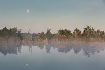 BUITEN BEELD Foto: 231718