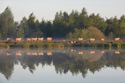 BUITEN BEELD Foto: 231721