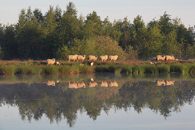 BUITEN BEELD Foto: 231722