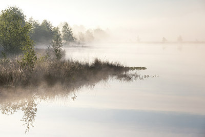 BUITEN BEELD Foto: 231723