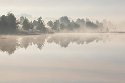 BUITEN BEELD Foto: 231725