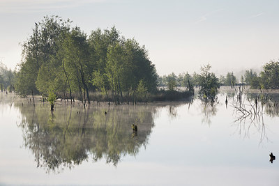 BUITEN BEELD Foto: 231726