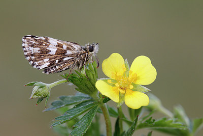 BUITEN BEELD Foto: 231729