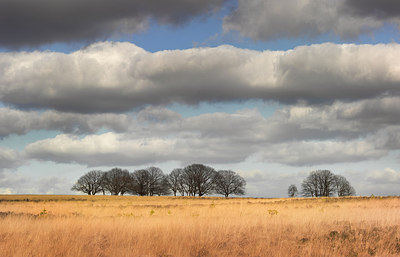 BUITEN BEELD Foto: 231792