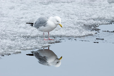 BUITEN BEELD Foto: 231819