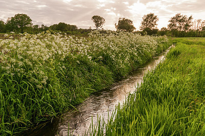 BUITEN BEELD Foto: 231888