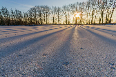 BUITEN BEELD Foto: 231918
