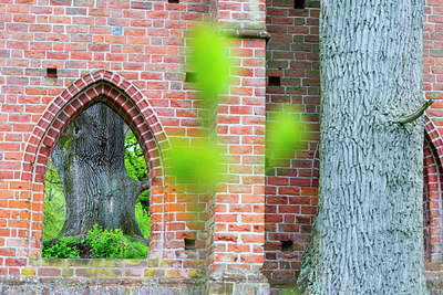 BUITEN BEELD Foto: 231949