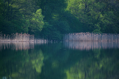 BUITEN BEELD Foto: 231991