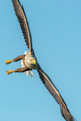 BUITEN BEELD Foto: 231993