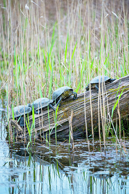 BUITEN BEELD Foto: 232008