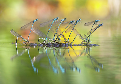 BUITEN BEELD Foto: 232079