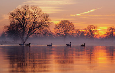 BUITEN BEELD Foto: 232080