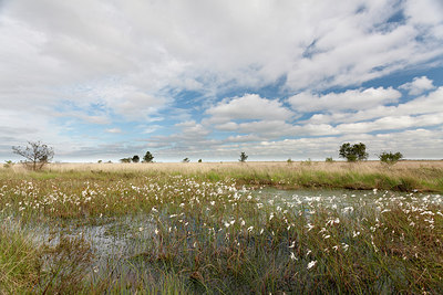 BUITEN BEELD Foto: 232165