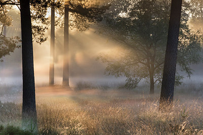 BUITEN BEELD Foto: 232211