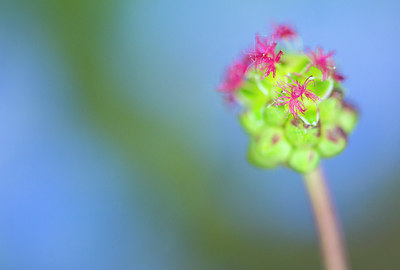BUITEN BEELD Foto: 232298