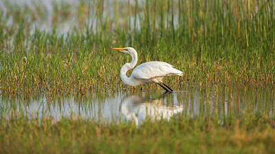 BUITEN BEELD Foto: 232315