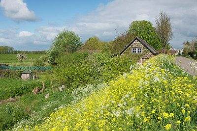 BUITEN BEELD Foto: 232358