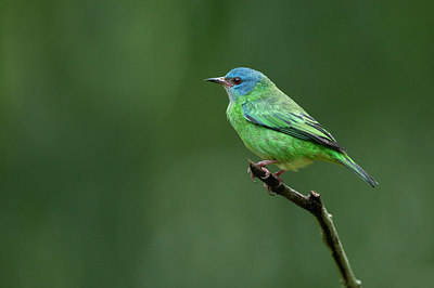 BUITEN BEELD Foto: 232401