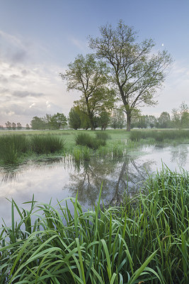 BUITEN BEELD Foto: 232403