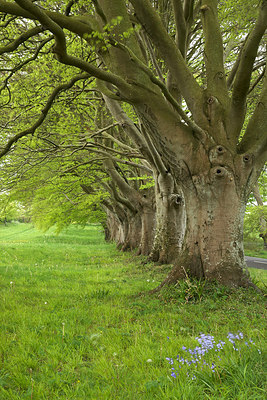BUITEN BEELD Foto: 232414