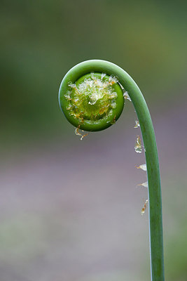 BUITEN BEELD Foto: 232416