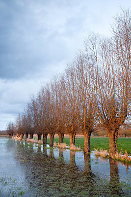 BUITEN BEELD Foto: 232428