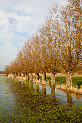 BUITEN BEELD Foto: 232429